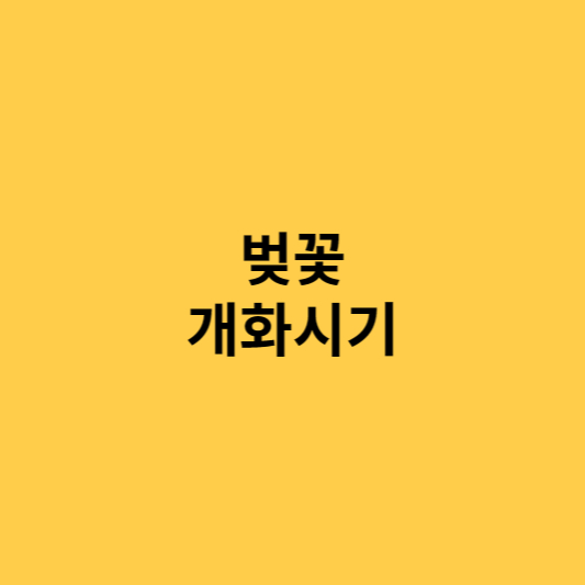  전국 벚꽃 개화시기(개나리/진달래) 및 명소 찾는 방법