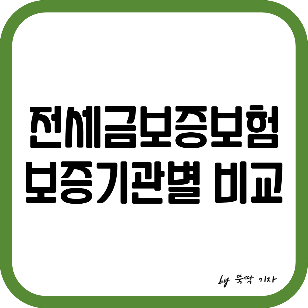 전세금보증보험 비교 썸네일