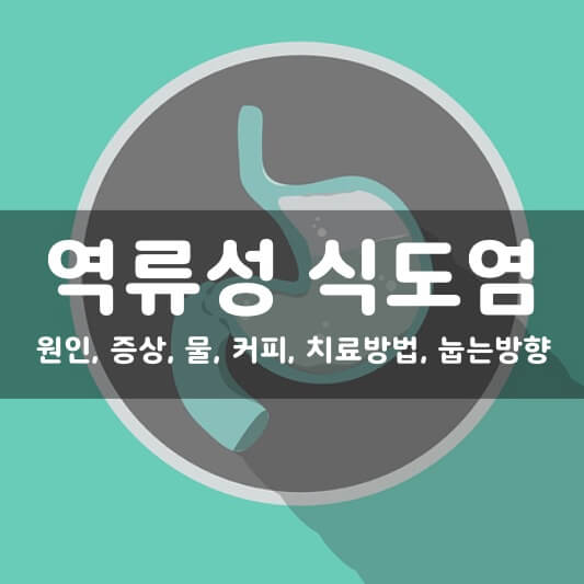  역류성 식도염 (원인, 증상, 커피, 물, 치료, 눕는 방향) 한방에 정리하기!