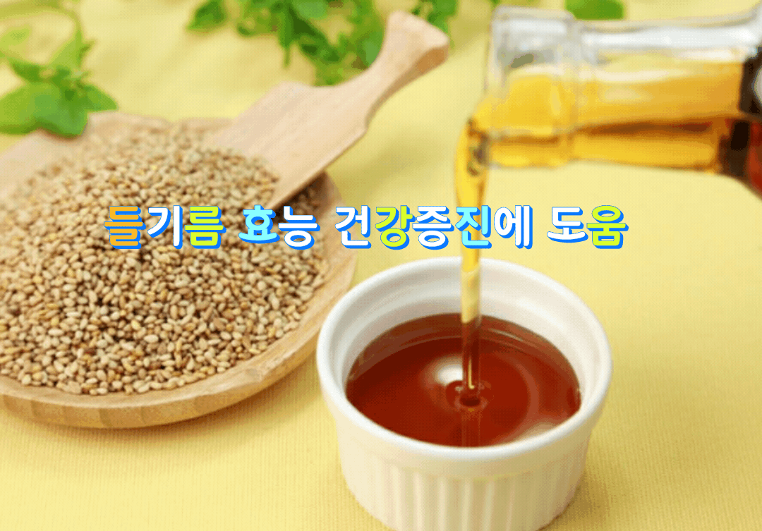  들기름 효능 건강증진에 도움 들기름 보관방법과 섭취방법!