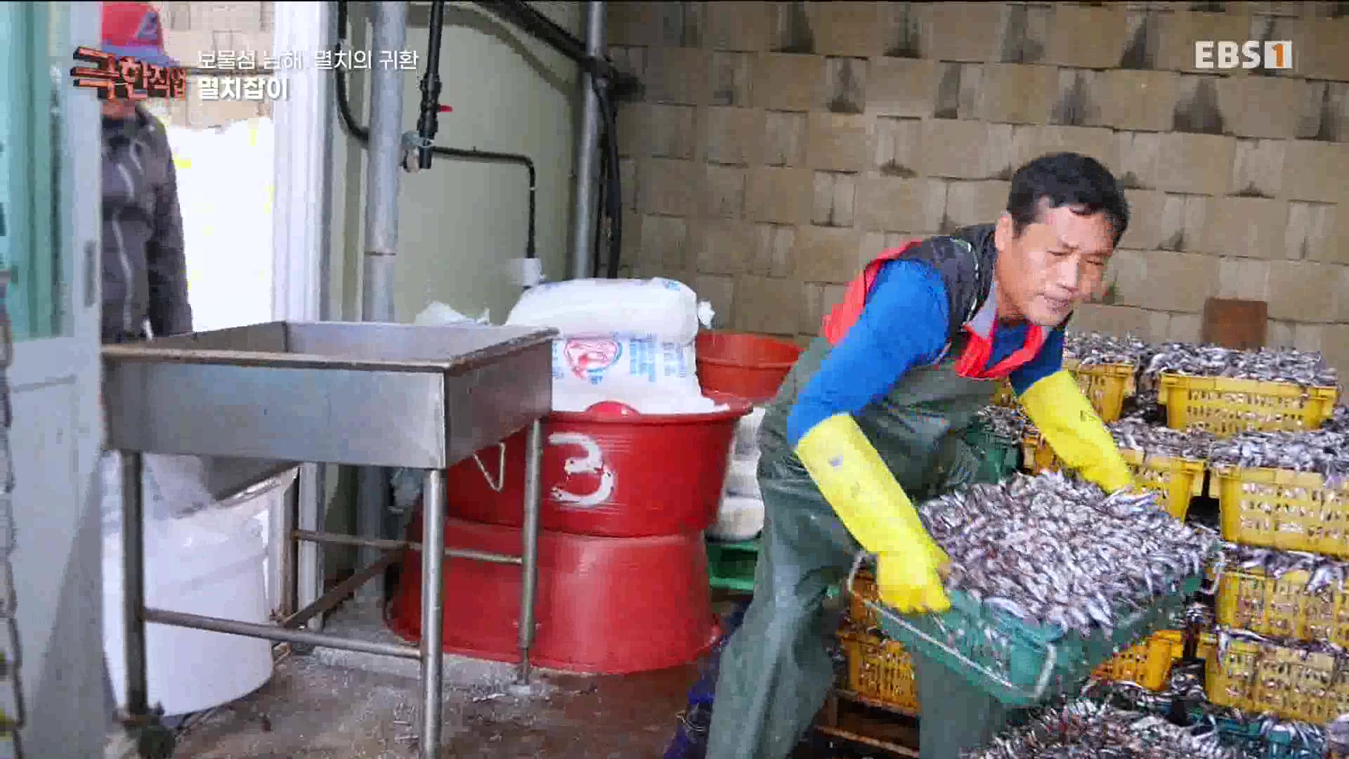 극한 직업 - 보물섬 남해, 멸치의 귀환 1080p.mp4_20230612_202046.999.jpg