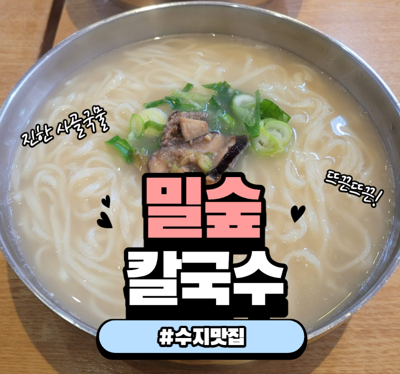 수지 맛집 밀숲 칼국수