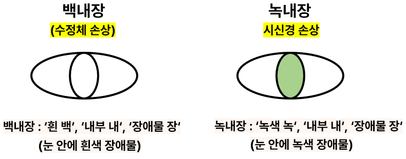 세상드림 이미지