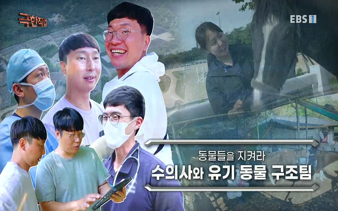 TV - 교육의 중심 EBS동물들을 지켜라, 수의사와 유기 동물 구조팀.mp4_20220913_194241.027.jpg