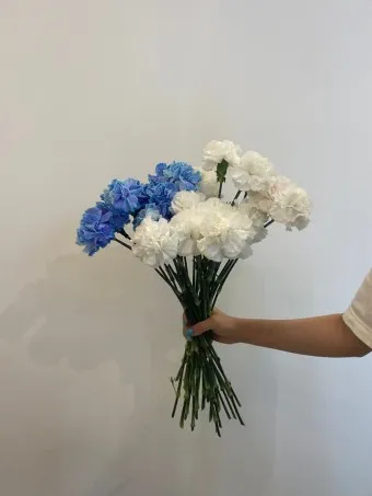 예쁜 꽃말 추천 모음 이해할수록 매력적인 꽃들의 꽃말 안내 모음_20