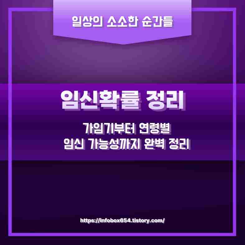 임신확률 정리 가임기부터 연령별 임신 가능성까지 완벽 정리