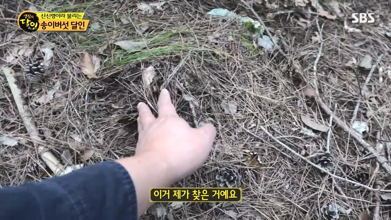 생활의 달인.E907.231010p-NEXT.mp4_20231010_202829.268.jpg