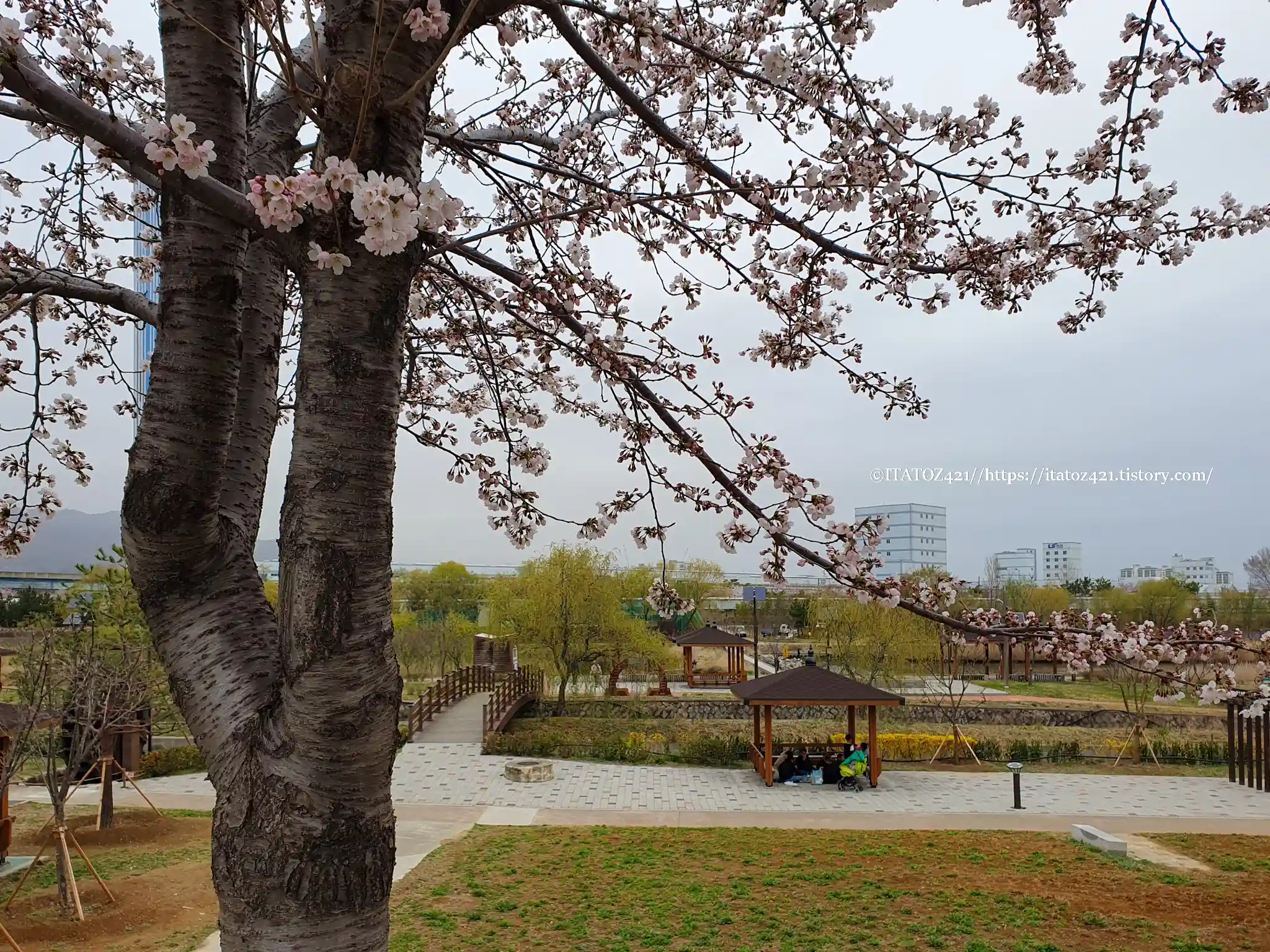 동해시 전천 수변공원