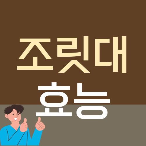 조릿대 효능