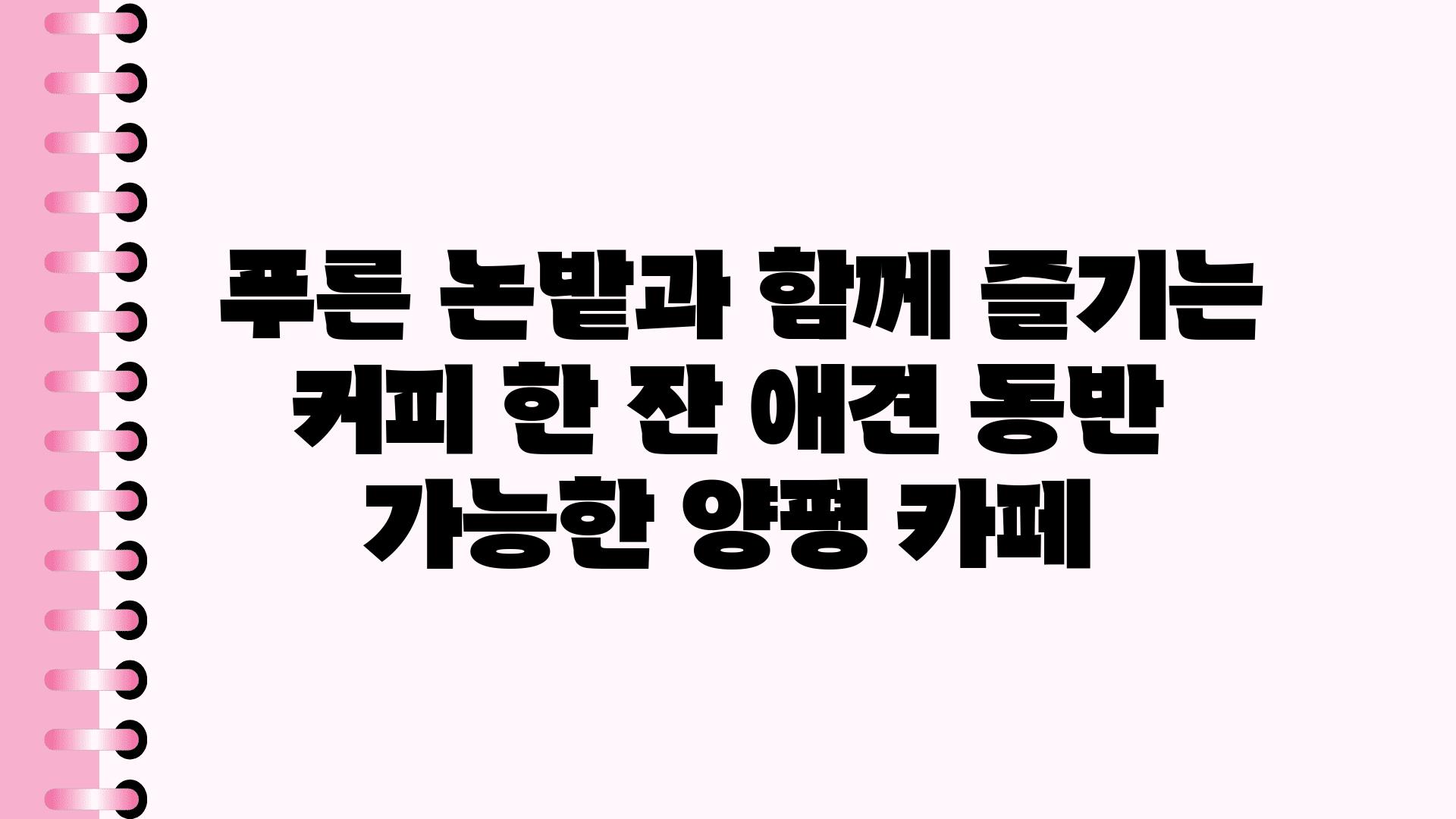  푸른 논밭과 함께 즐기는 커피 한 잔 애견 동반 가능한 양평 카페