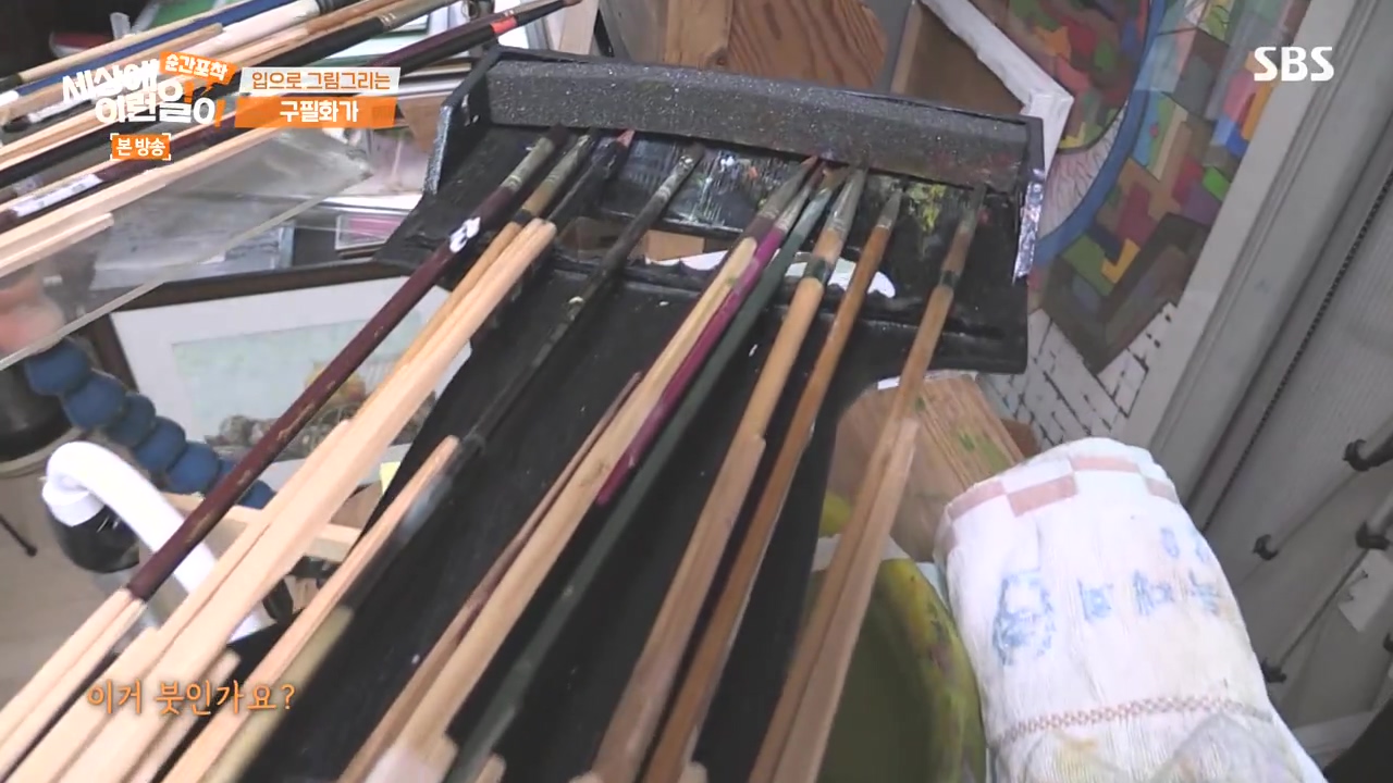 순간포착 세상에 이런일이.E1252.231112p-NEXT.mp4_20231112_165325.479.jpg