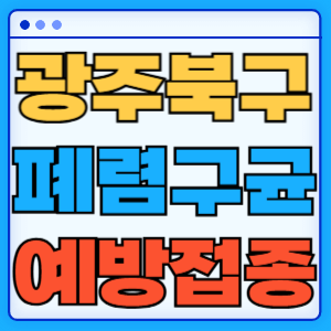 광주 북구 폐렴구균 백신 무료 예방접종 비용지원 가격 신청방법 대상자 간격 13가 15가 20가 23가