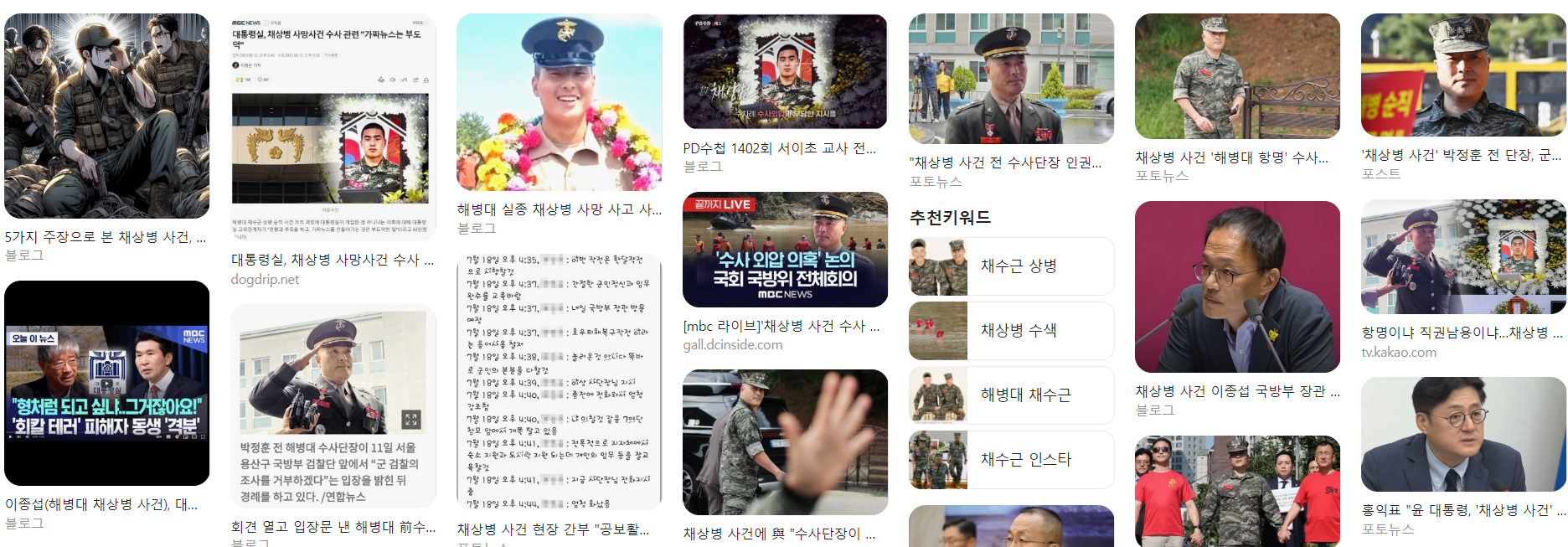  채상병 사건 관련뉴스 종합