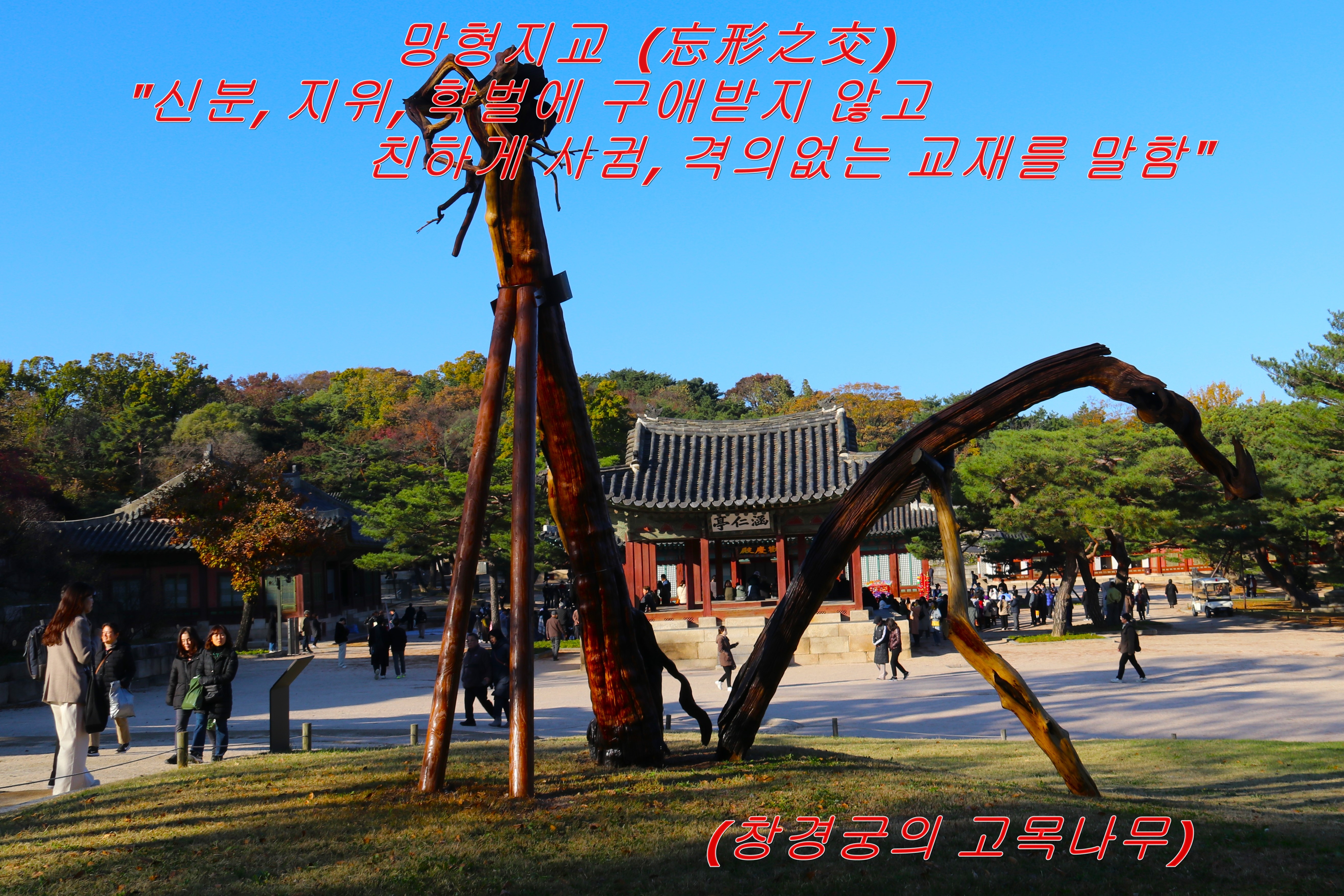 지교 이미지
