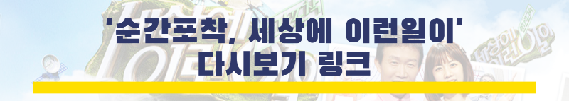 순간포착-세상에-이런-일이-다시보기-링크