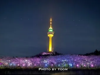 대구 지하철 노선도 시간표 급행_15