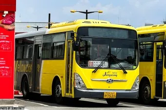 장성 시외버스터미널 시간표 예매 요금_26
