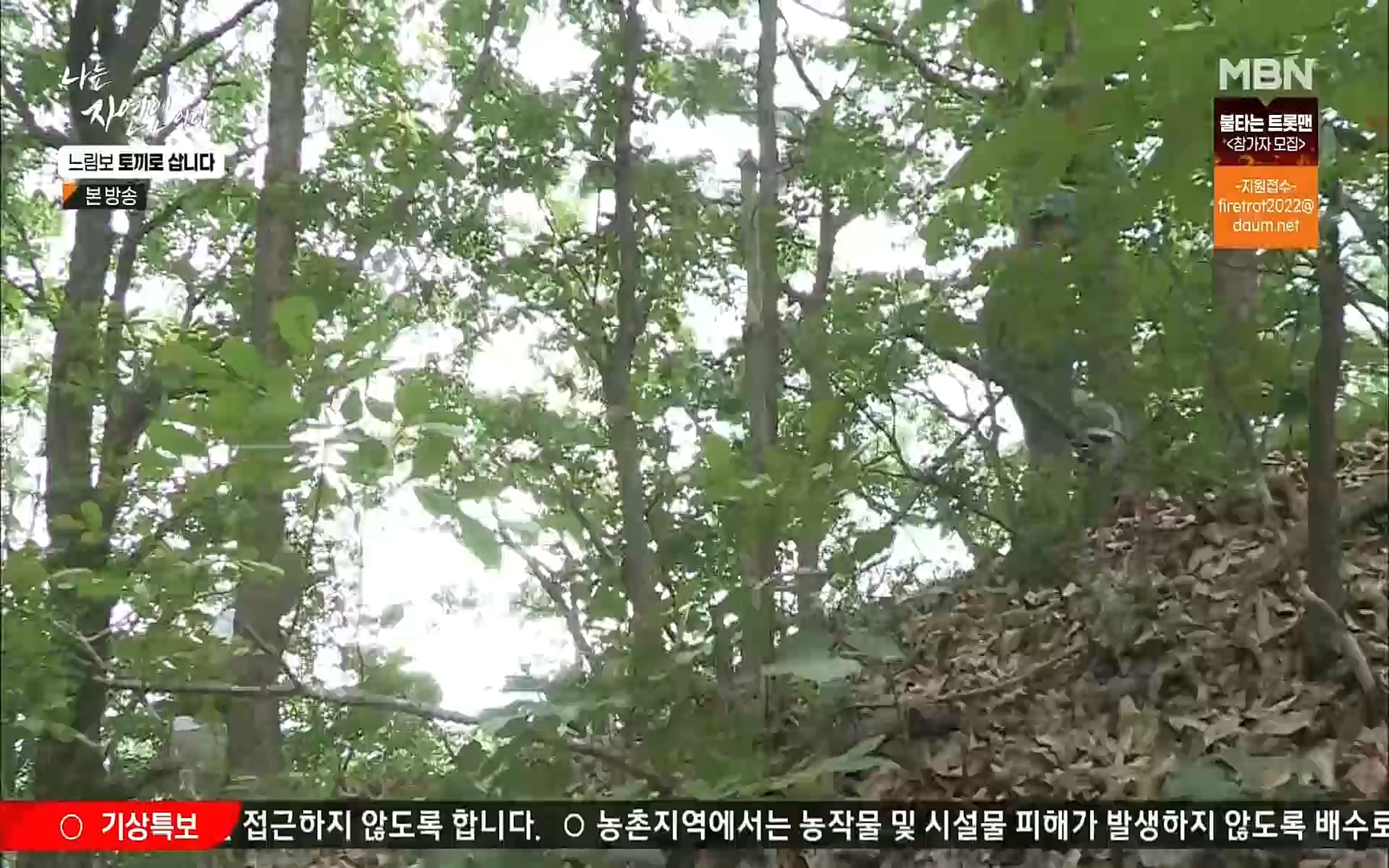 나는 자연인이다.E514.220810p.H264-F1RST.mp4_20220811_202604.932.jpg