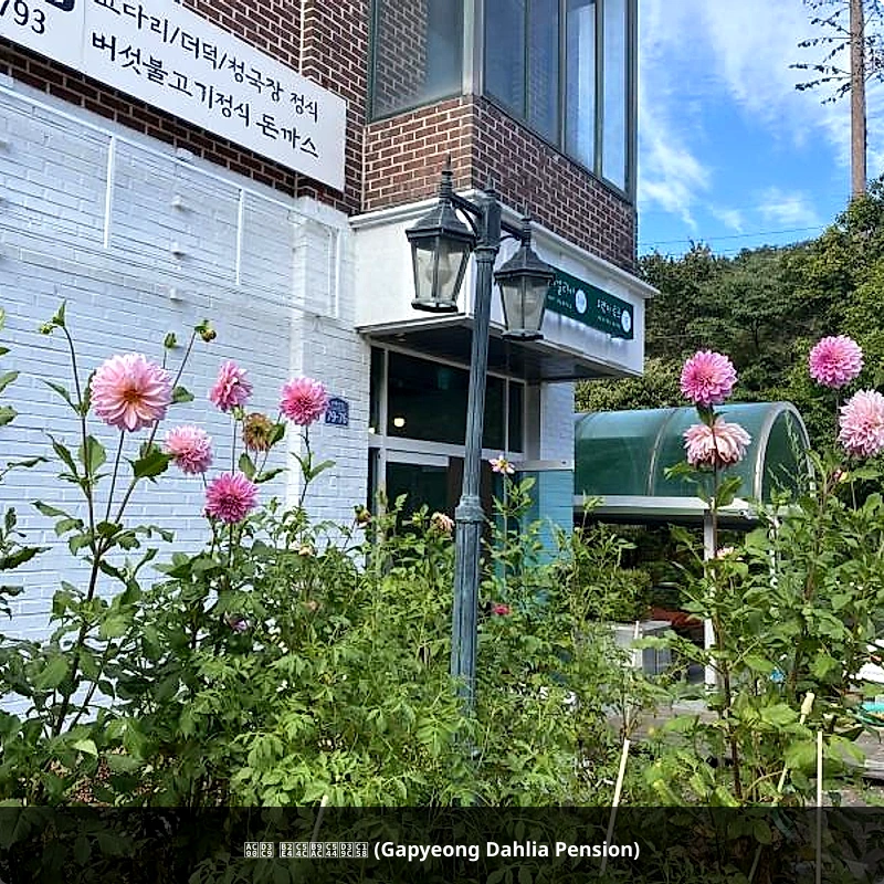 가평 다알리아펜션 (Gapyeong Dahlia Pension)_3