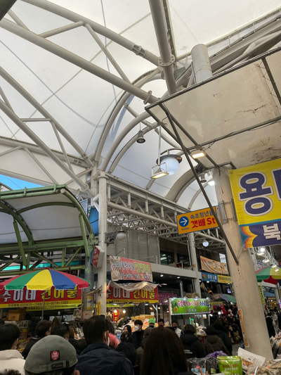 -영진해변,영진횟집,바우카페, 파인힐 애견펜션,속초중앙시장 설연휴 분홍이와의 여행 2