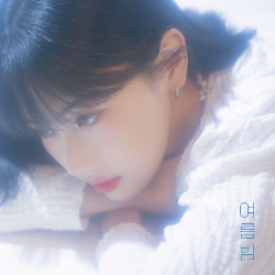 여름밤 이미지