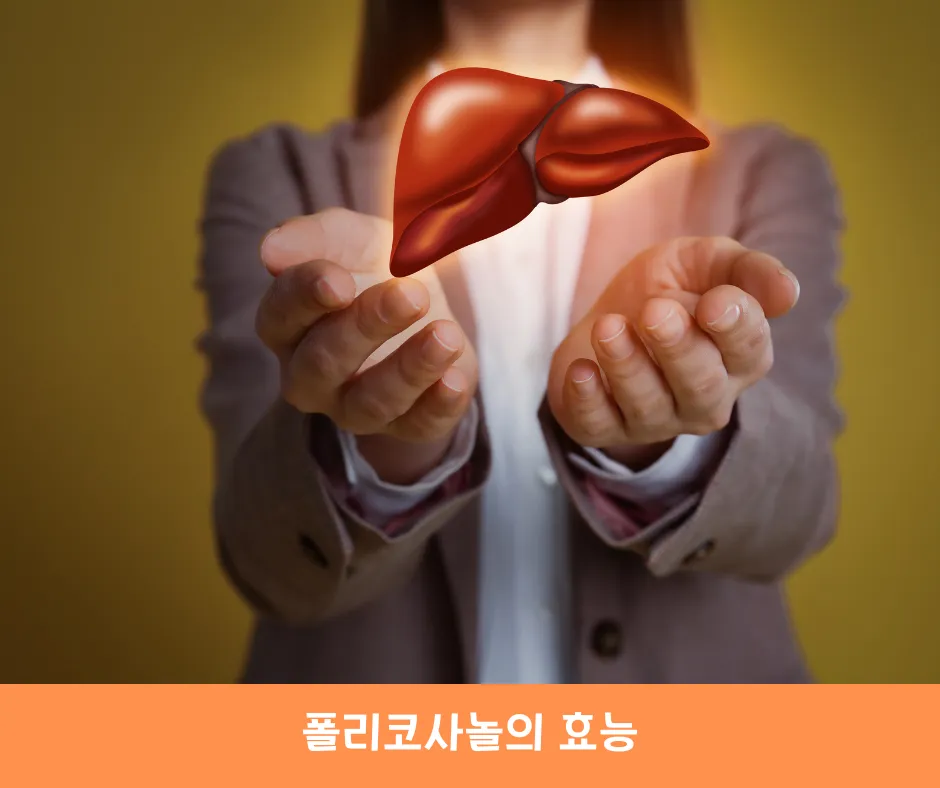 폴리코사놀의 효능