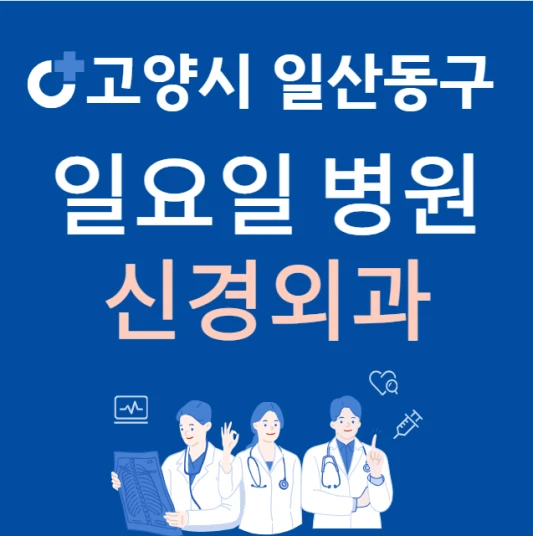 고양시-일산동구-일요일-신경외과-진료하는곳-주말에-문여는-일산-24시간-신경외과-병원-찾기