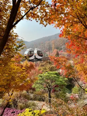 단풍에 물들은 화담숲과 모노레일 전경 