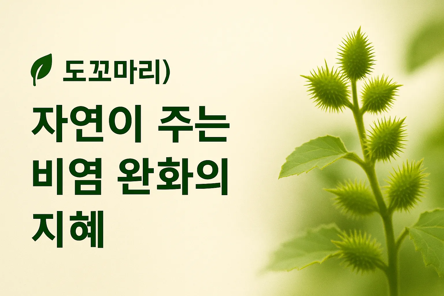 도꼬마리 식물과 함께 비염 완화를 주제로 한 정보성 이미지, 자연의 지혜를 강조하는 디자인