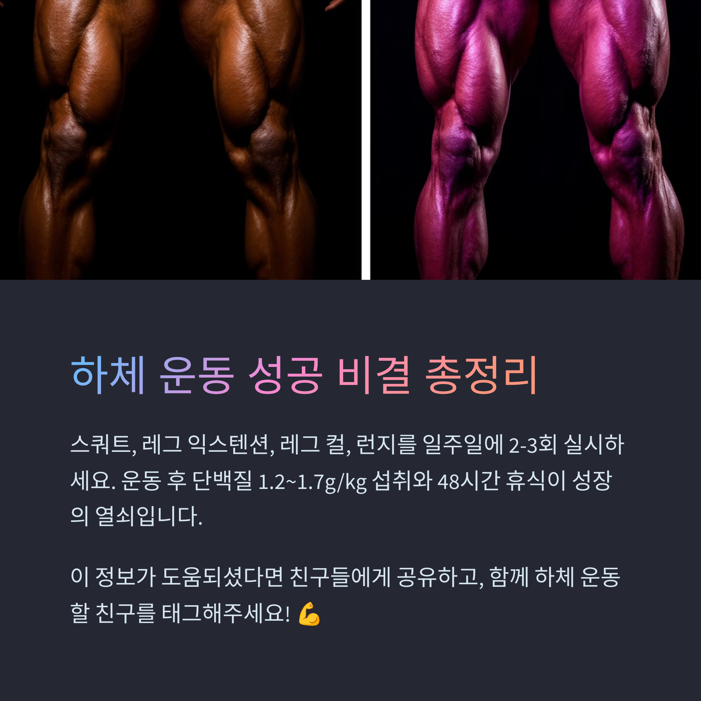 하체 운동 성공 비결 총정리