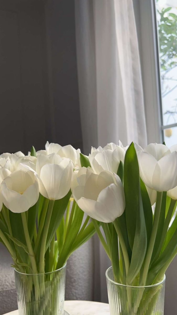 감성사진 핸드폰 배경화면 화이트톤🤍