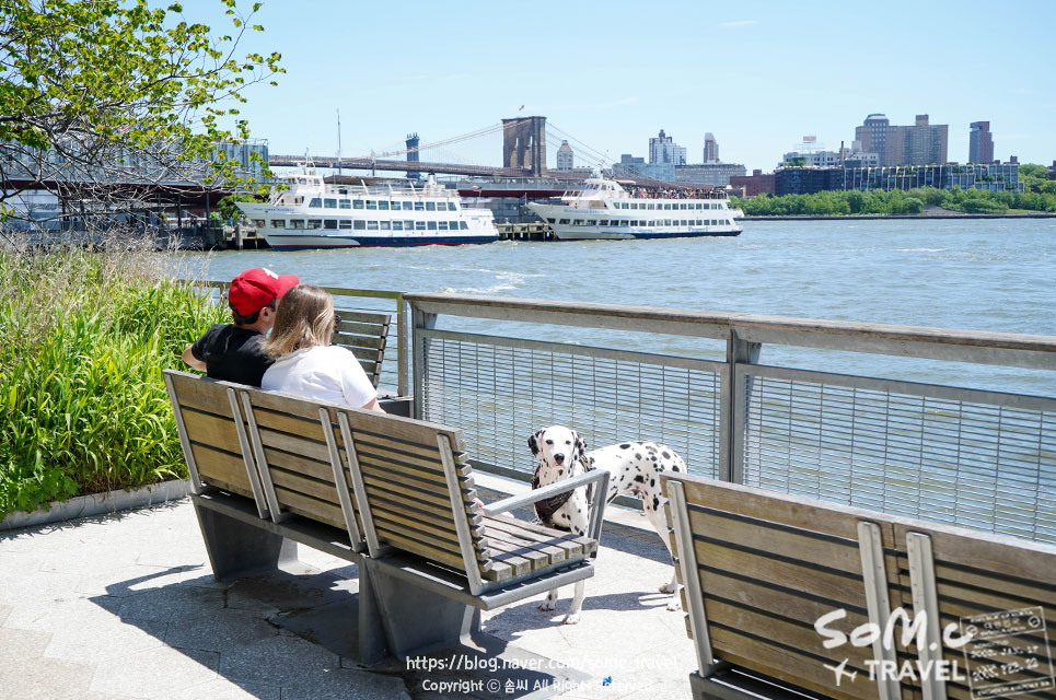 크루즈 종류 할인 이용 팁! 여성 혼자 뉴욕 여행, 자유의 여신상 17