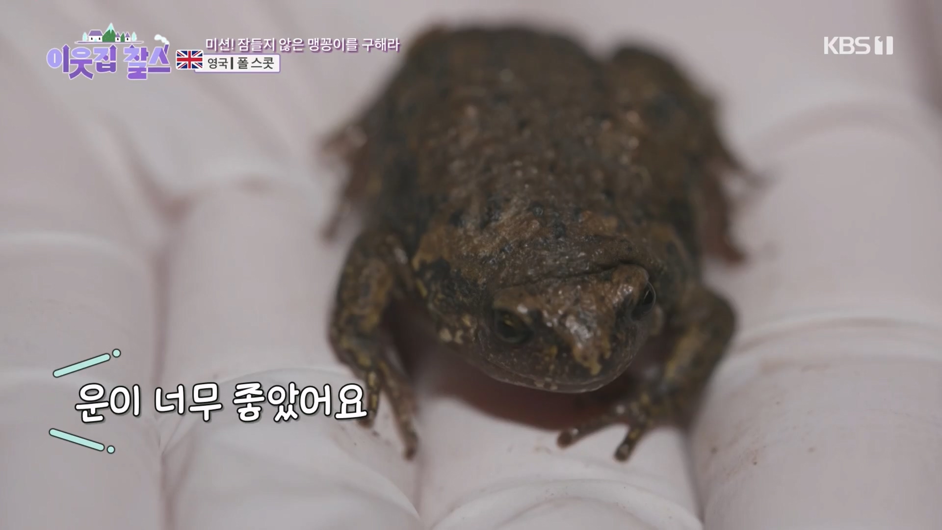 이웃집 찰스.E415.231212p.H264-F1RST.mp4_20231215_202918.320.jpg
