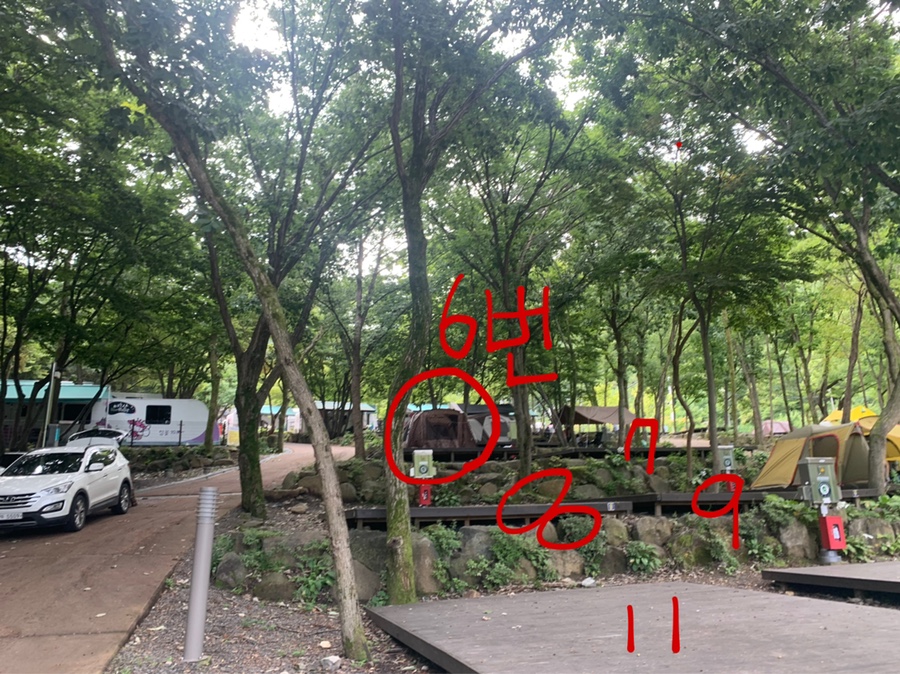 비슬산자연휴양림, 숲캠핑, 6번데크후기 대구 캠핑 26