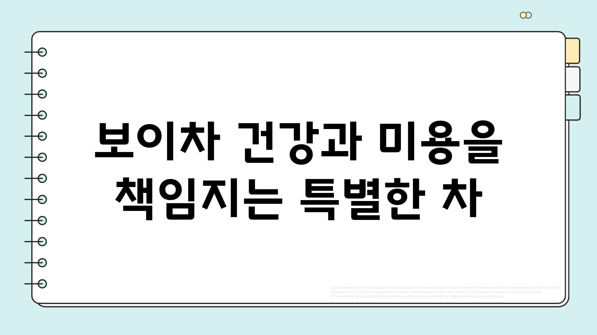 보이차 건강과 미용을 책임지는 특별한 차