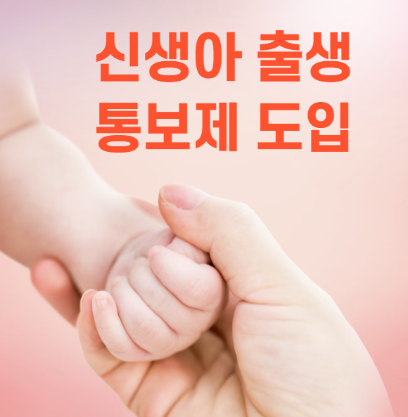 신생아 출생 통보제 도입