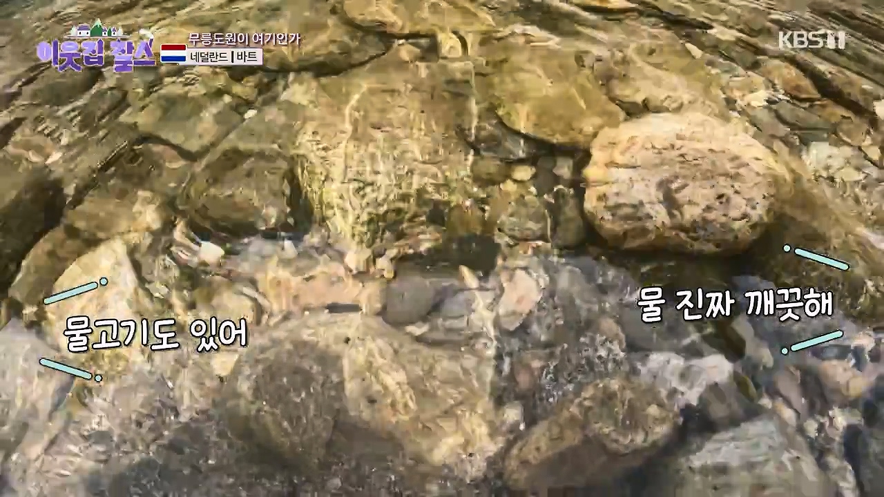 이웃집 찰스.E403.230913p-NEXT.mp4_20230913_201358.551.jpg