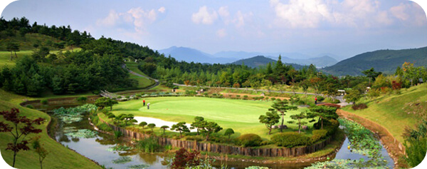 화순cc전경1