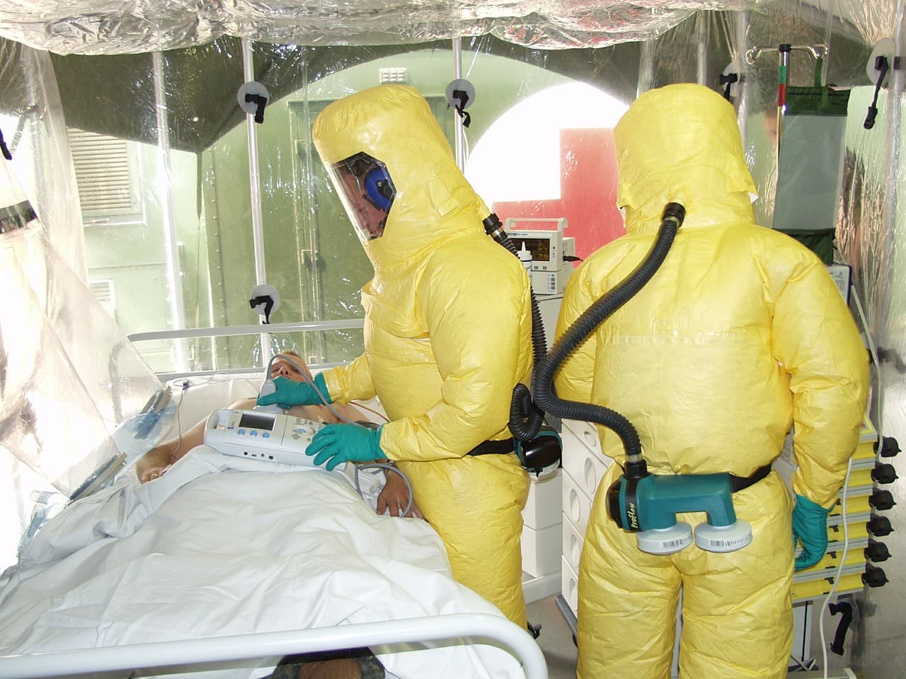 에볼라 치료
