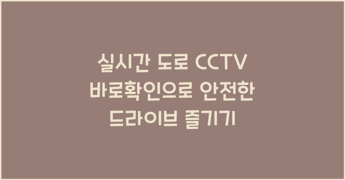 실시간 도로 cctv 바로확인