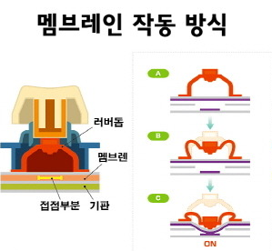  나에게 맞느 키보드 구입하는 방법 - 키보드 구입 가이드