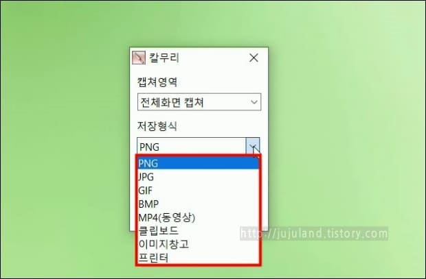 저장형식-설정-옵션