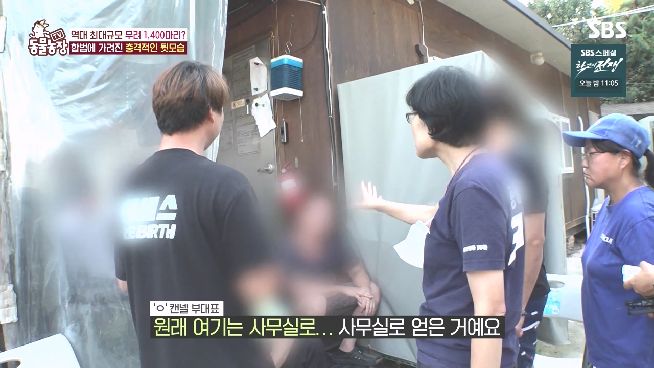 TV 동물농장.E1142.231023p-NEXT.mp4_20231022_172141.947.jpg