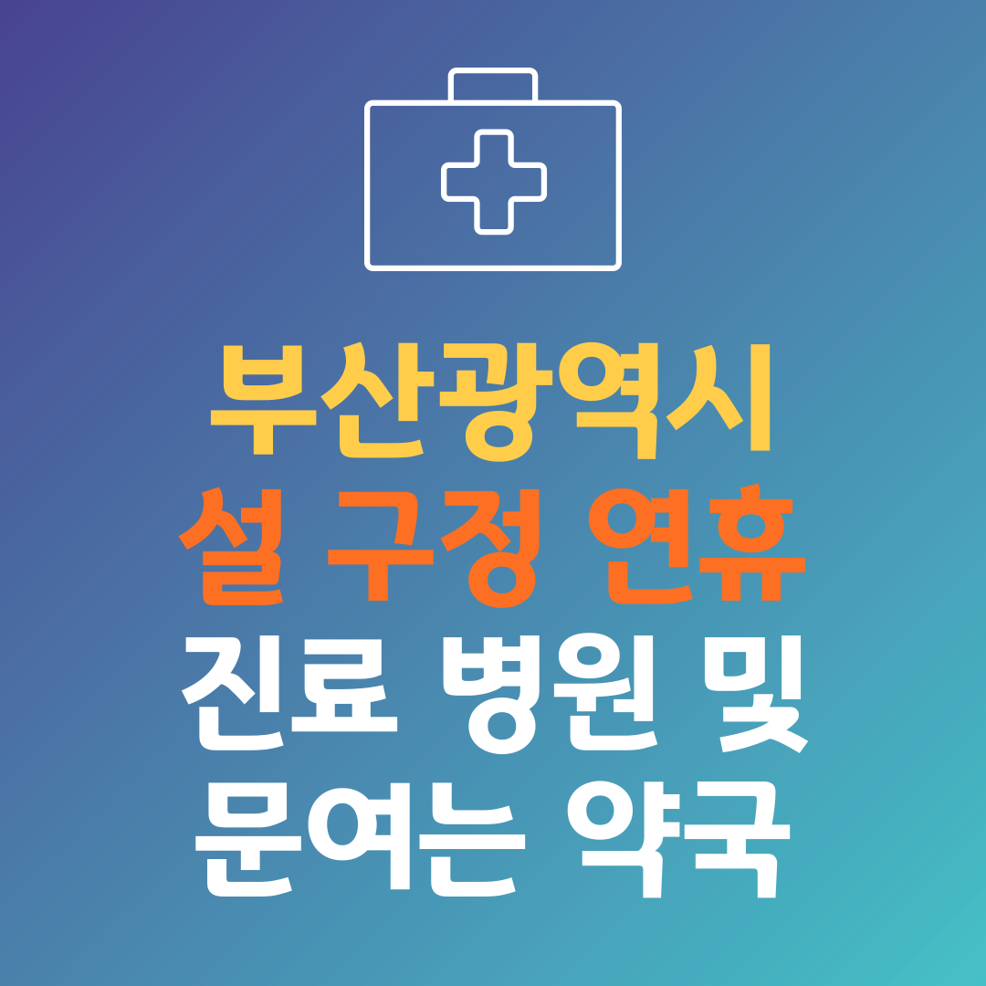 부산광역시 설 구정 연휴 진료 병원 및 문여는 약국