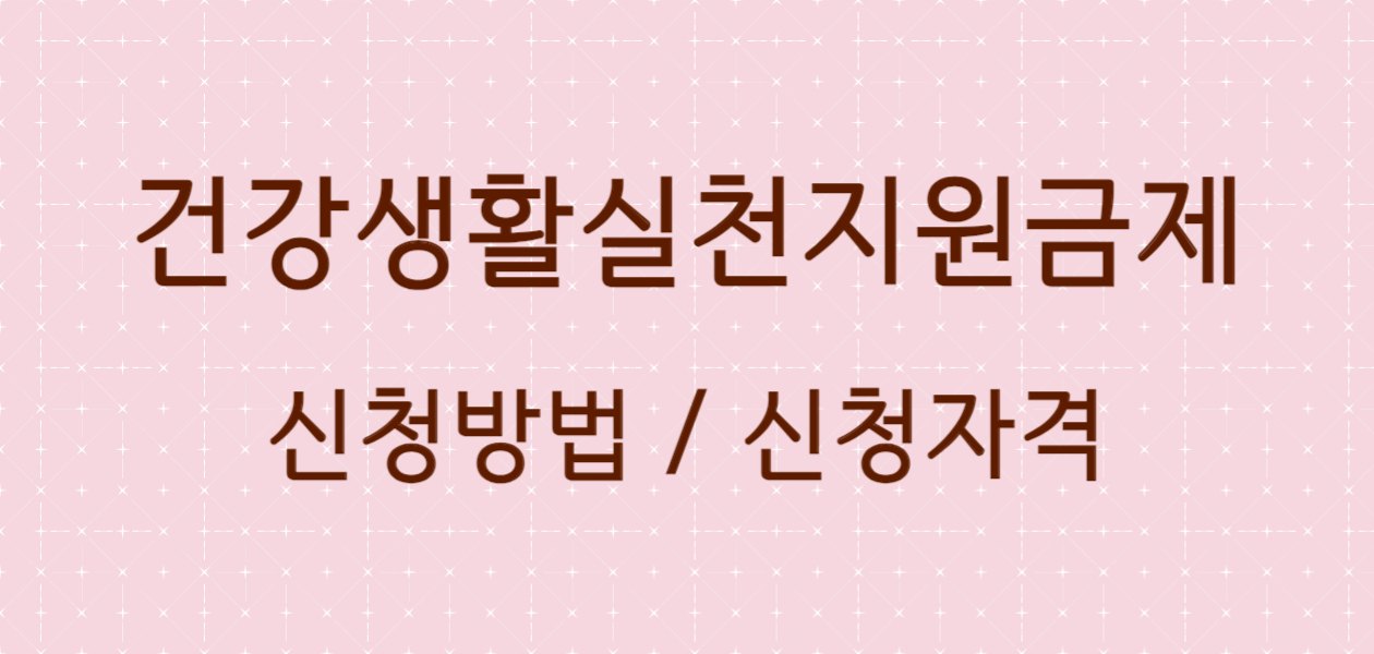 건강생활실천지원금제