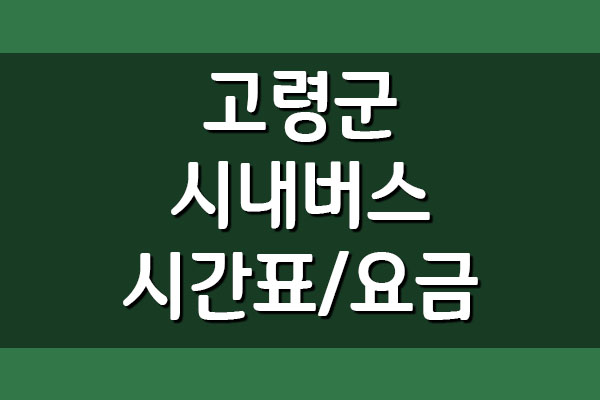  고령군 시내버스 시간표 및 요금 정보