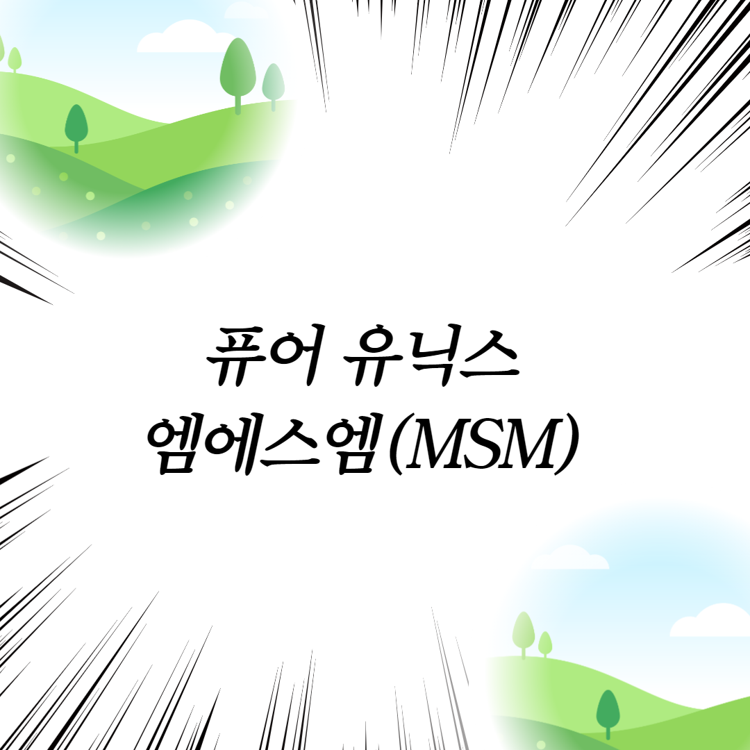  퓨어 유닉스 엠에스엠(MSM)