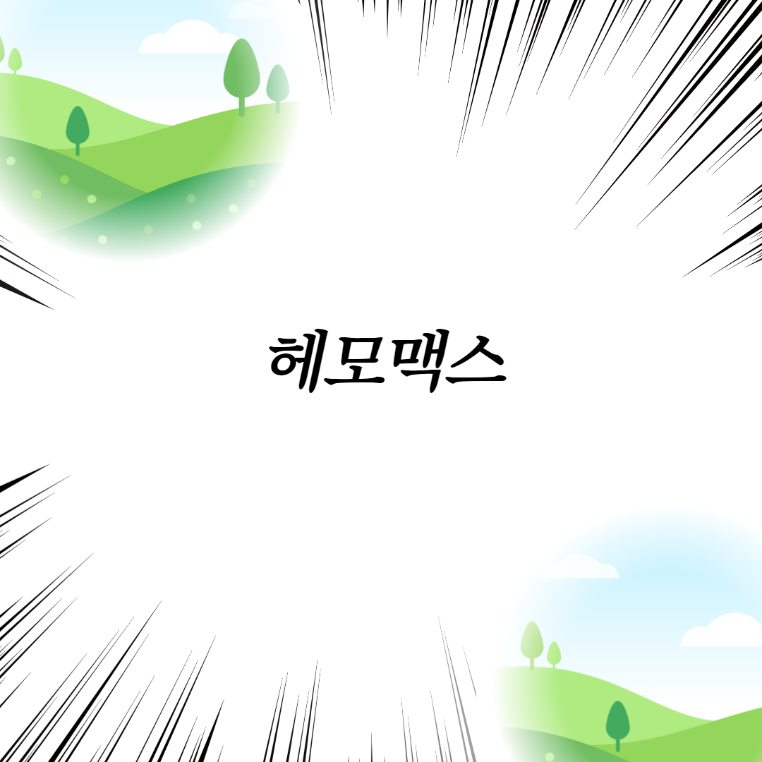  헤모맥스