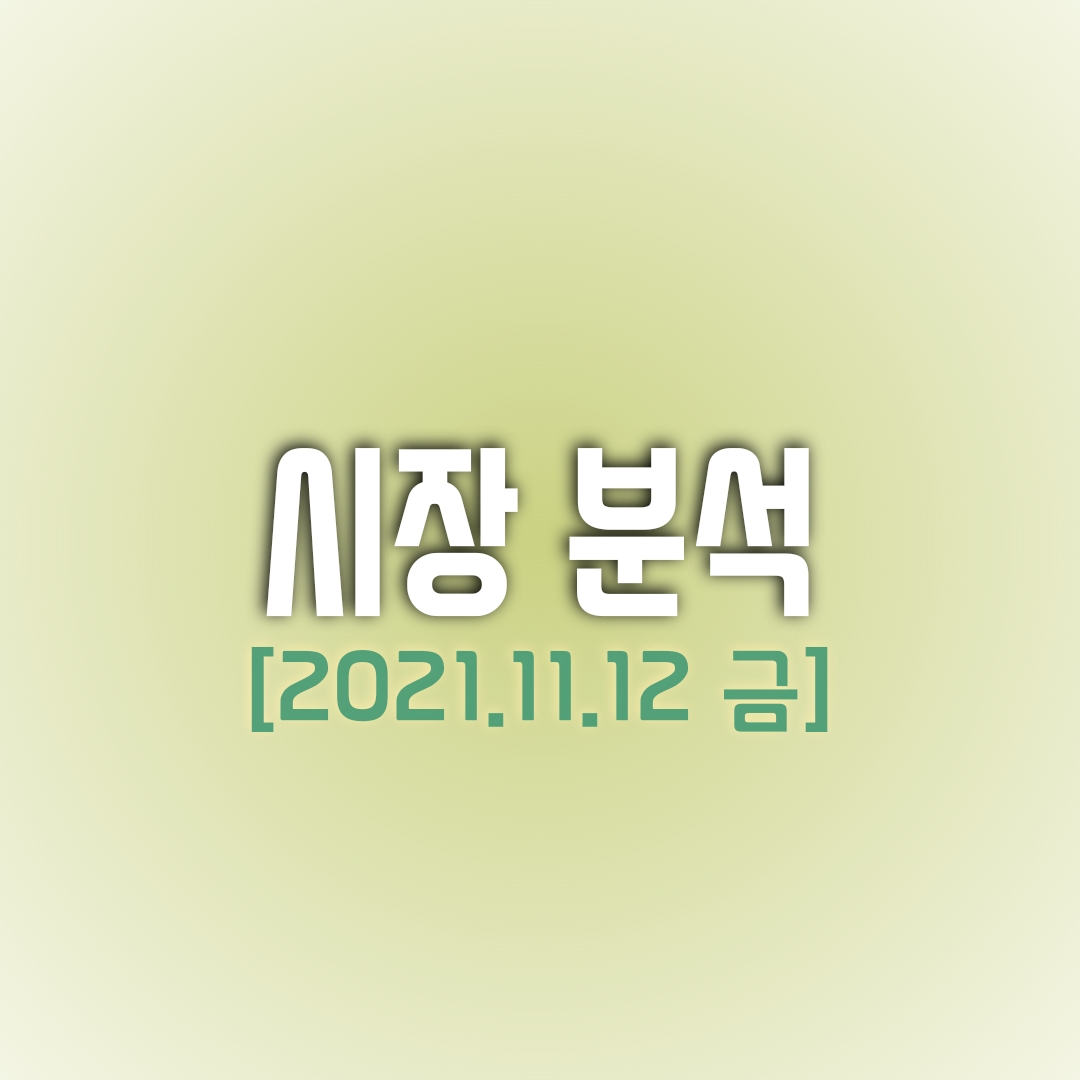  금일(11/12) 주식 시장 분석