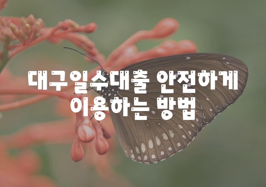 대구일수대출 안전하게 이용하는 방법